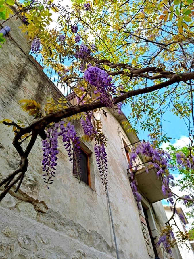 Гостевой дом Ai Limiti • 67 • Stonehouse Palombaro Экстерьер фото
